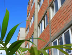 Imagen referencial (Archivo)